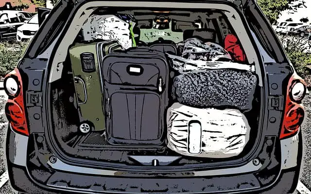 how to get rid of bedbugs in a car