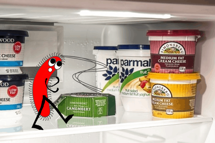 What Kills E Coli Bacteria on Surfaces (O157H7, ESBL) Sprays & Wipes