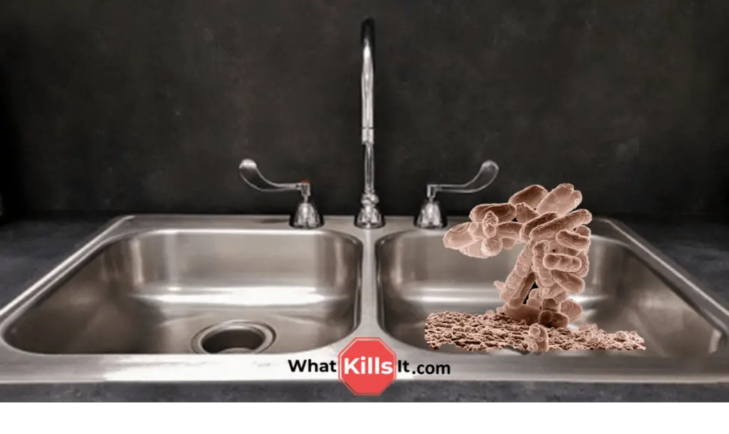 What Kills Listeria On Surfaces Kitchen Counters, Sinks, etc., What