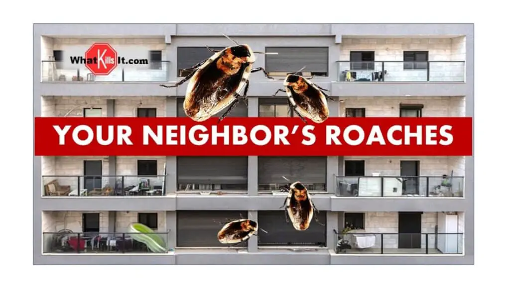 How to Get Rid of Roaches Coming from Neighbors House or Apartment